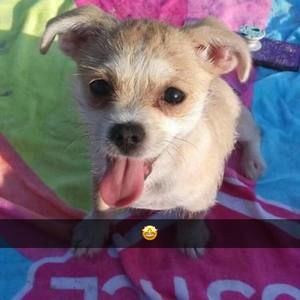 Meet your Posher, Joniyah